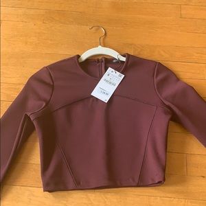 Burgundy long sleeved Zara crop top!